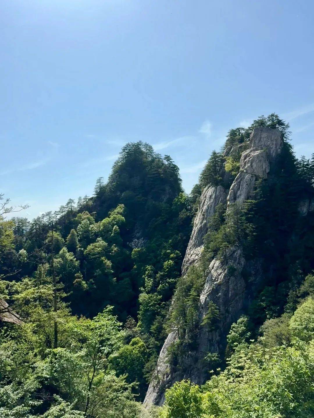 98元/人?立即出发?甘花溪草甸