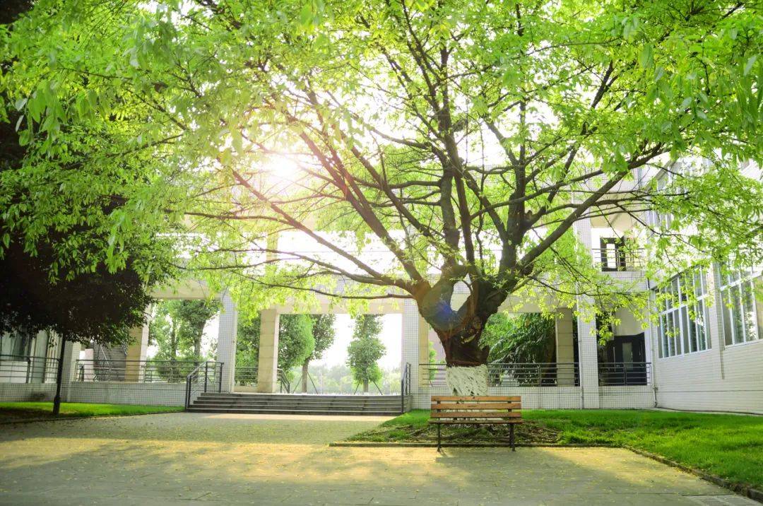 填报四川大学锦江学院!成就更好的你