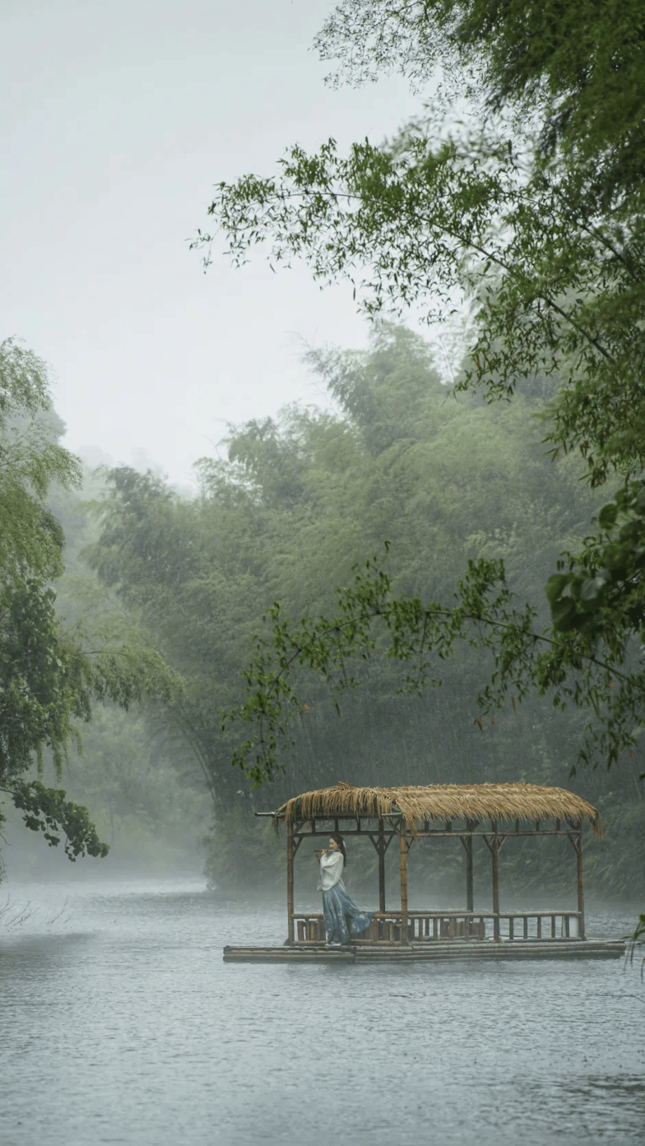 竹海里避暑乘凉我愿称之为理想的夏天