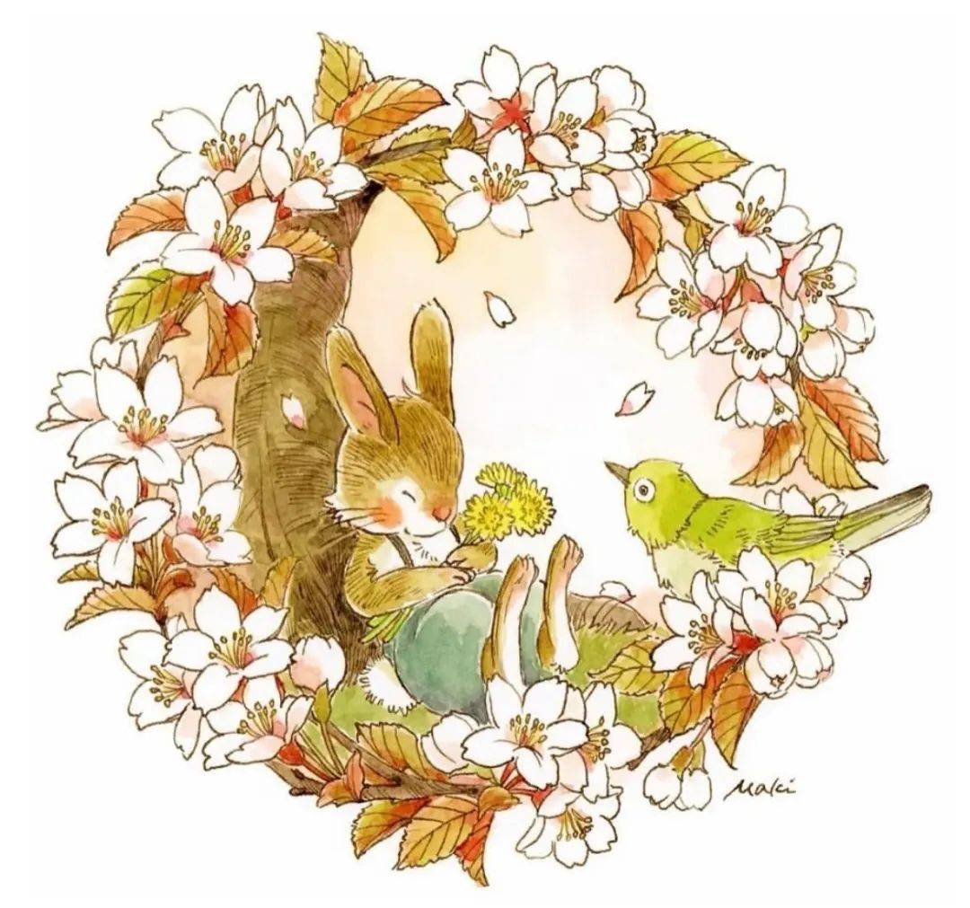 —几何圆形构图(聚焦,和谐,圆润)