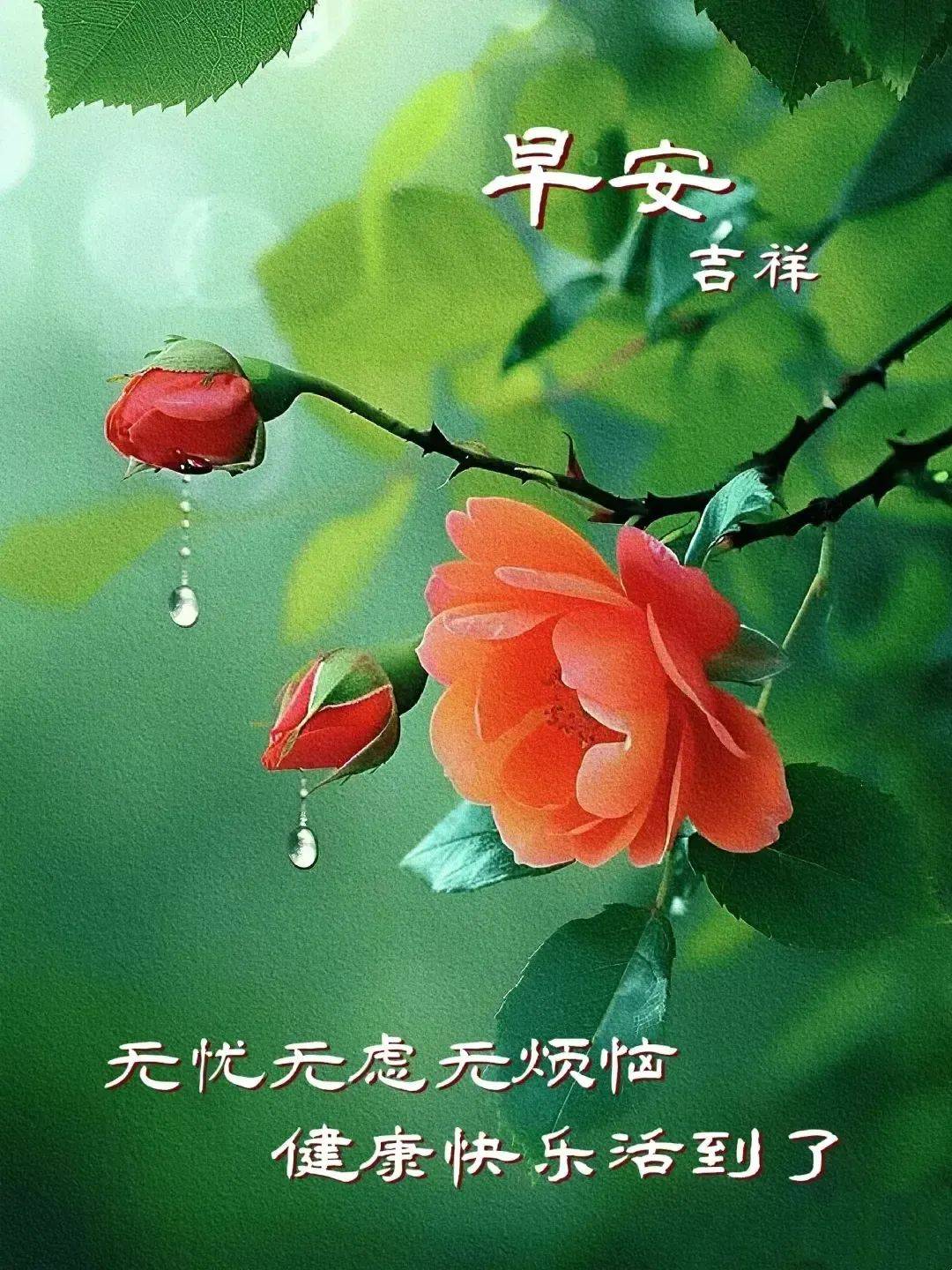 16张今天最新早上好表情精选图片,温馨清晨问候祝福语图片精选