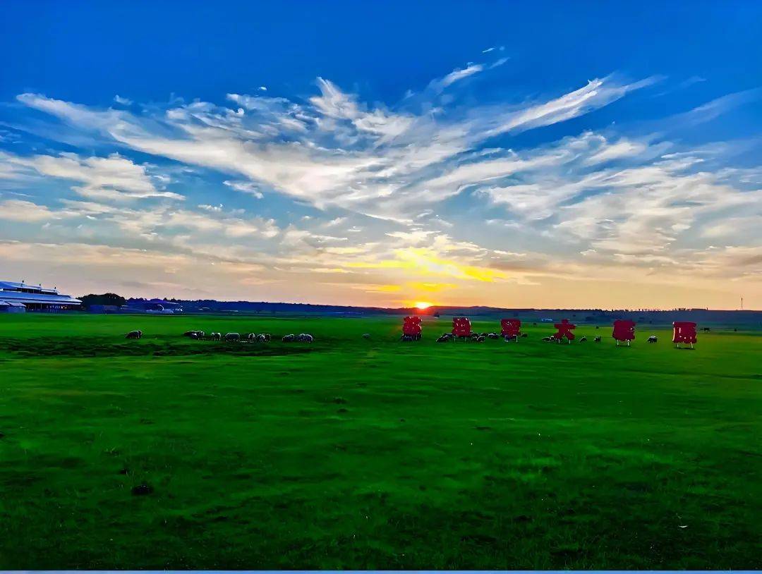 青春不散场!凭"证"特惠,畅游苏泊罕大草原