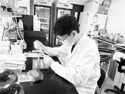 “肉食塑造人类”假说有了新证据