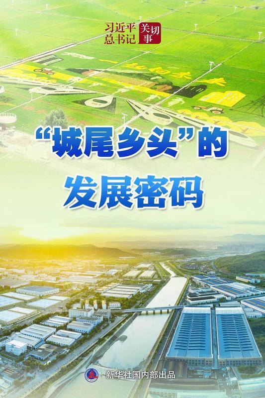 阳台毛毛:习近平总书记关切事丨“城尾乡头”的发展密码