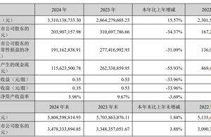 中原内配2024年净利下滑34%，73岁薛德龙退任董事长、外甥薛亚辉接棒