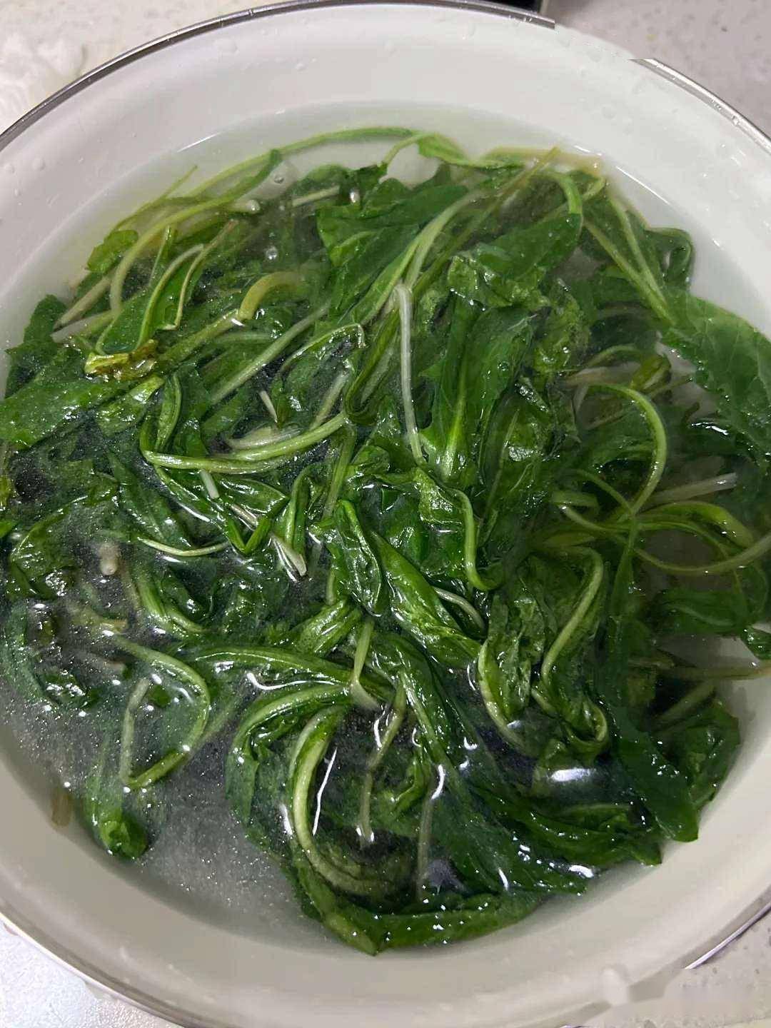 口气重多半是胃火大 多吃这种野菜清胃败火