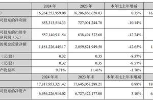 万丰奥威2024年净利跌一成，董事长赵亚红薪酬微降至134万元