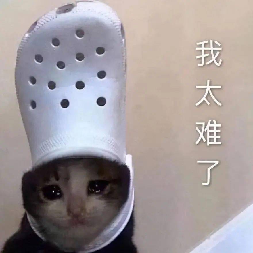 考研的女生很辛苦吗？是真的！！-第5张图片-索考网