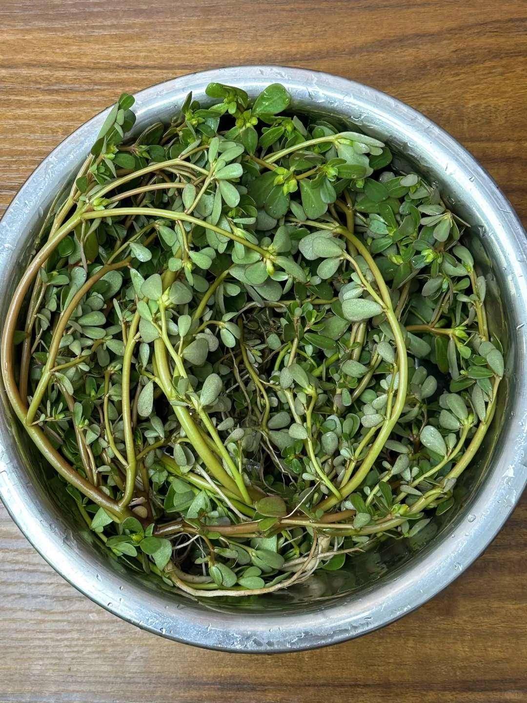 利湿排毒第一名北方人竟当杂草