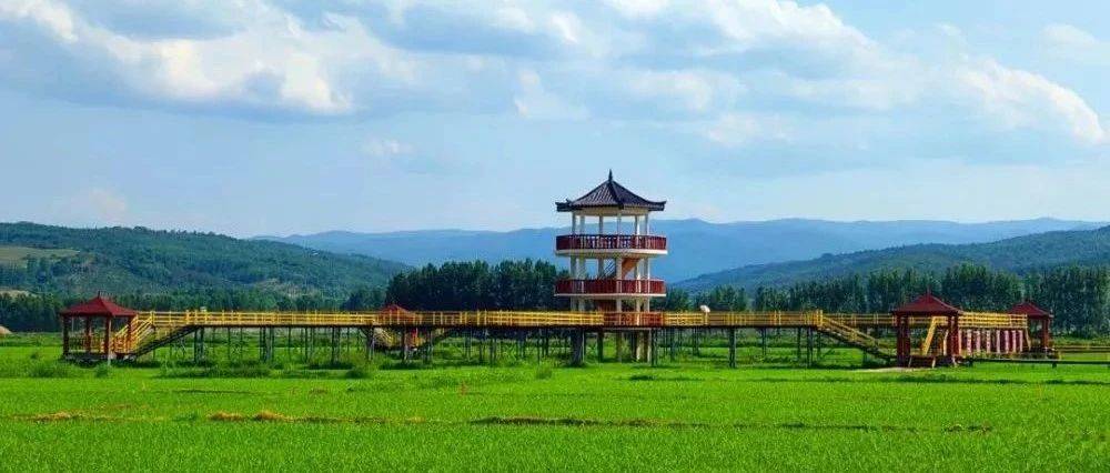 吉林县域新闻联播丨和龙市光东村绘就乡村振兴画卷_向全国_稻田_建设