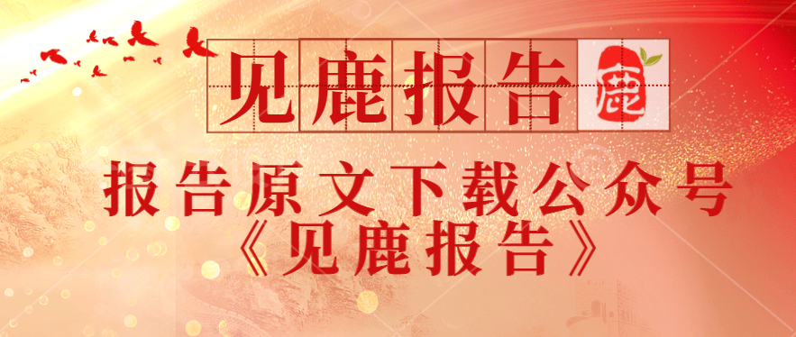 2025多模态大模型发展蓝图：探索应用趋势与商业化新路径