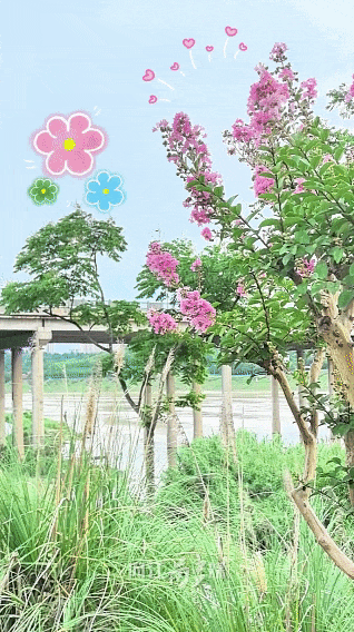 戳进来→这组内江趣味风景动图治愈你