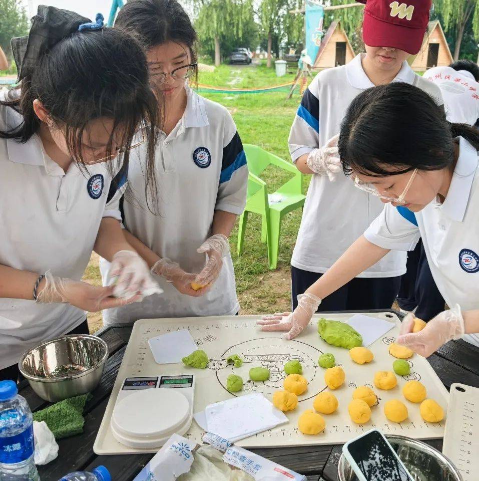 社会实践——开启成长之旅的新篇章