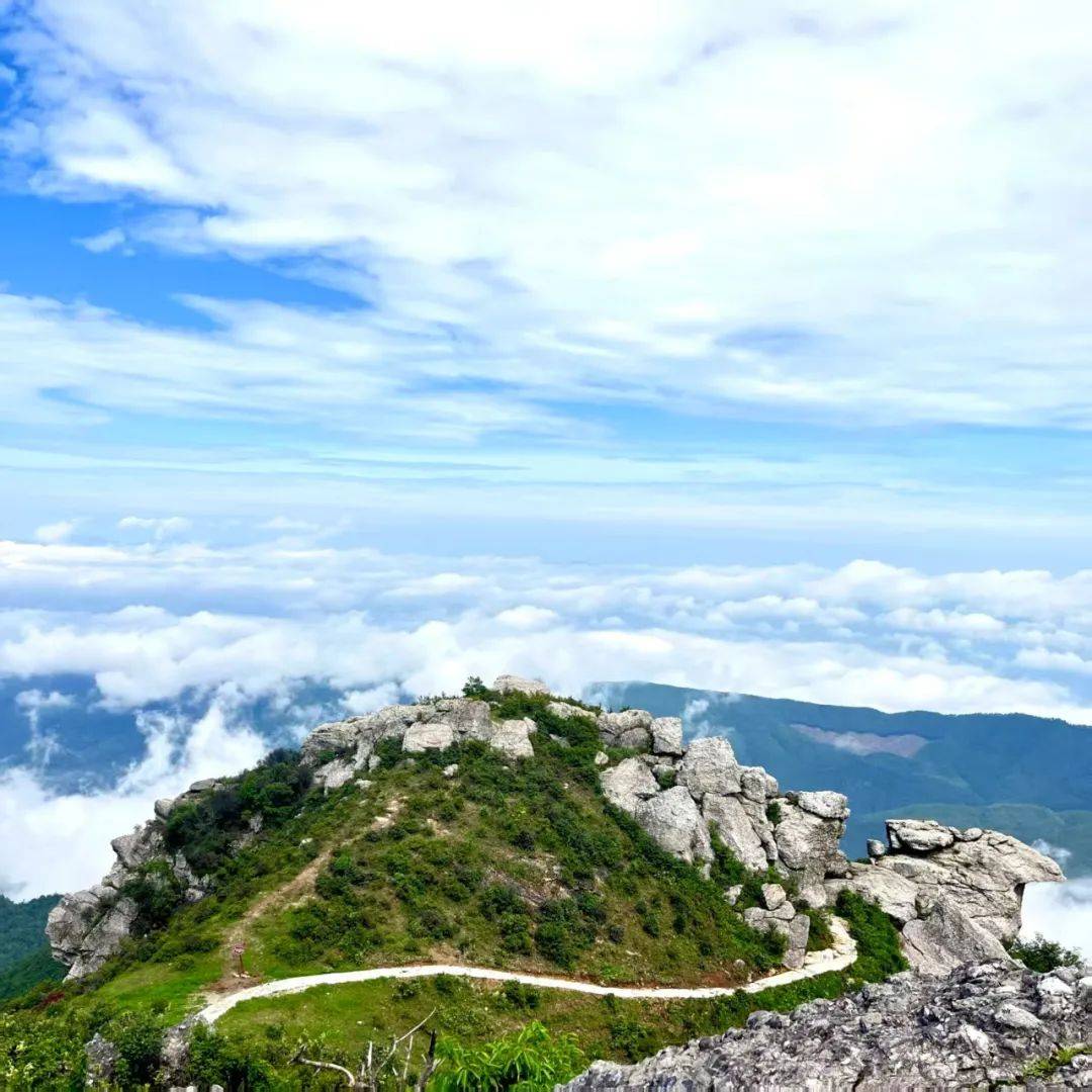 视频2▼得益于台岭乡近年来组织乡贤,社会爱心人士捐款修建秋山景区游