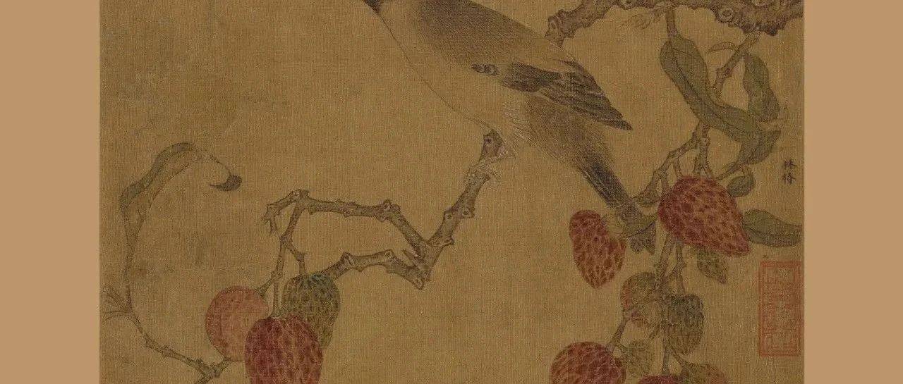 每日诗画 | 锦荔栖禽图页_荔枝_林椿_鉴定