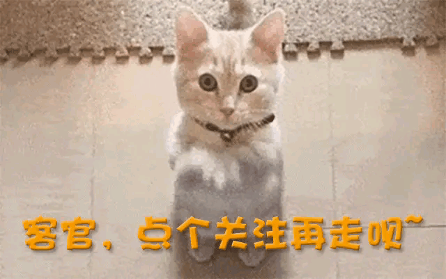 90年代，宗庆后与杜建英的一张合影，彻底揭开宗庆后的隐秘往事！