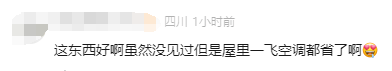 “看起来有1米”！有人家中出现“巨型蟑螂”？网友：房子给它了