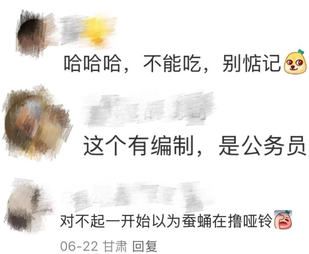 在北京路边看到这种黑色的蛹千万别动 网友：有“编制”