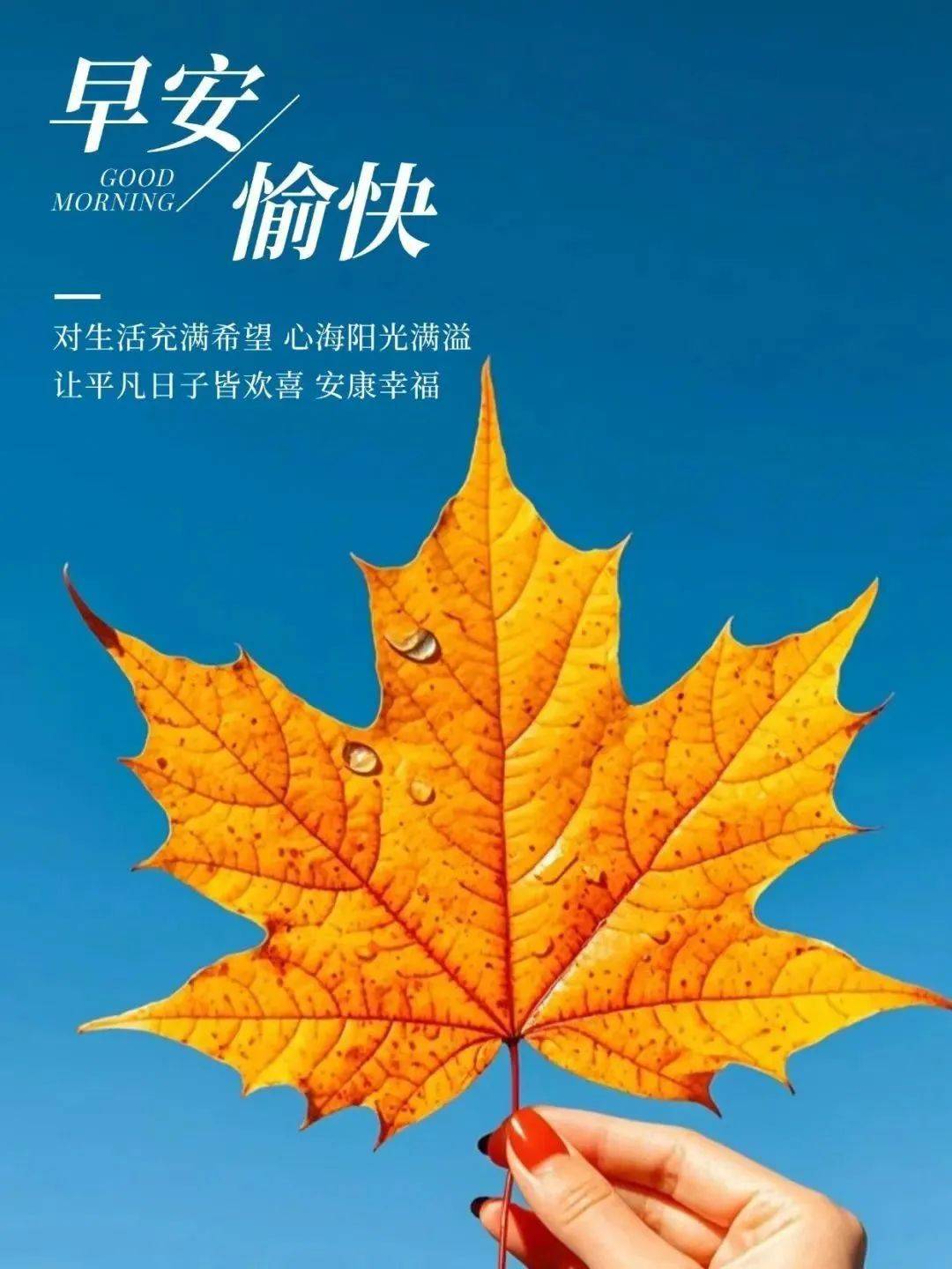 销冠早晨发圈的干净句子满满正能量太招财了激活潜在客户下单～