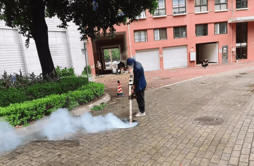 中山：全民总动员果断采取最有力措施，打早打小打赢基孔肯雅热疫情歼灭战！