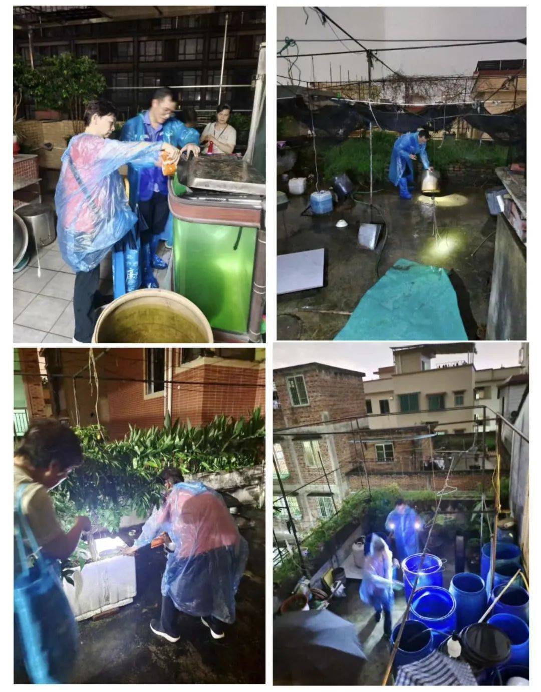阳台堆满10多桶积水！出租屋藏 “蚊虫摇篮” 还拒配合？切勿抱有侥幸心理……