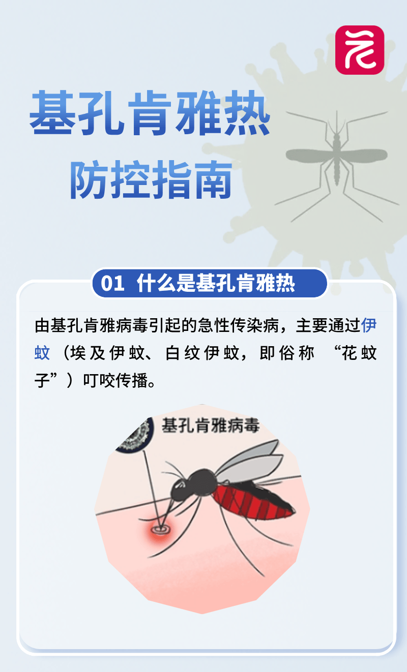 荆州中心城区小区正全面消杀！出现疑似或确诊须1小时内报告