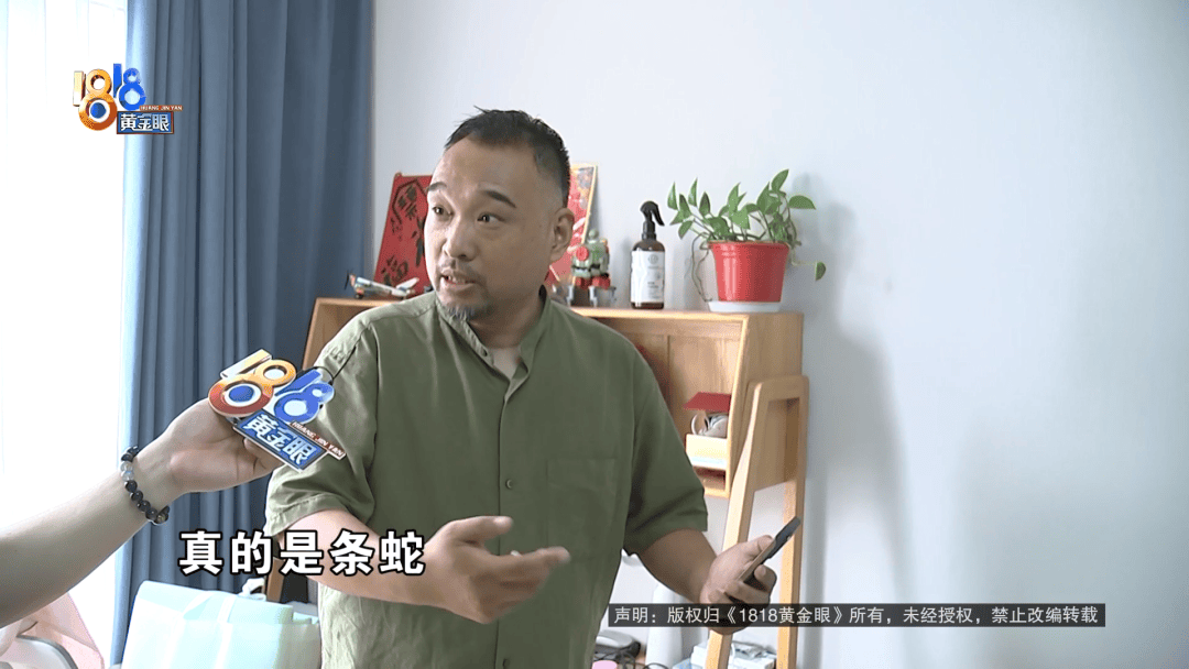 10岁孩子看到床上有蛇被吓到不敢睡觉，楼上业主：喂食的时候跑出来了
