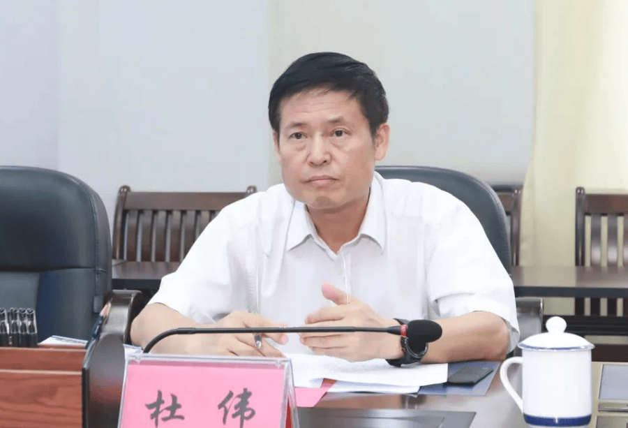 广西南宁市政协原党组书记、主席杜伟被查