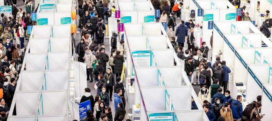 2025上海人社上半年数据出炉！