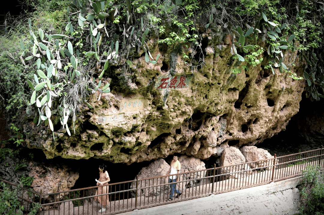 图片[8]-名字自带凉感的滇中小城，太适合避暑了 -华闻时空