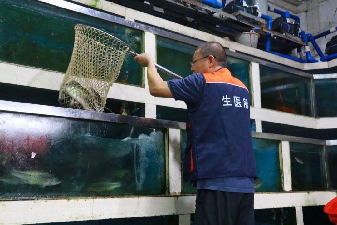 两部门联合执法检查 筑牢重点品种水产品质量安全防线