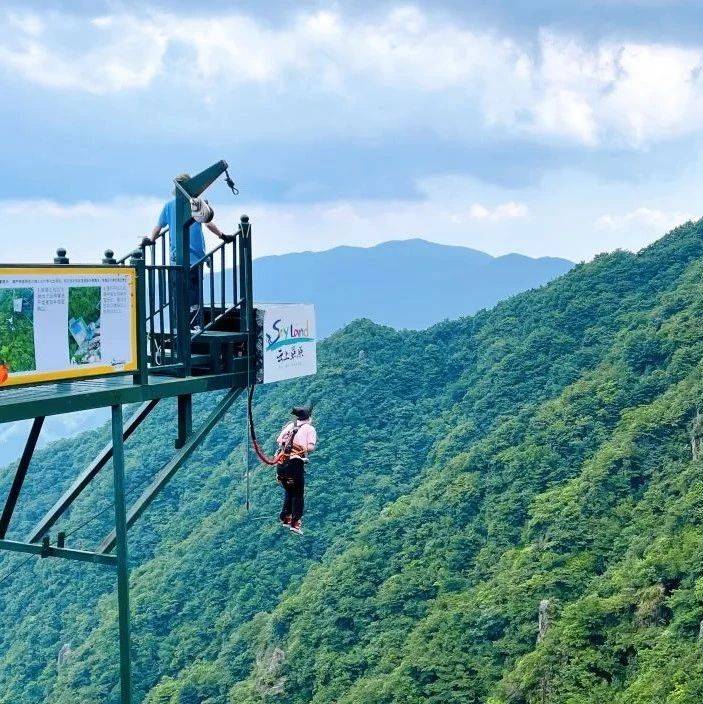 这个暑期,“窝囊旅游”为啥爆火?_景区_游客_安吉