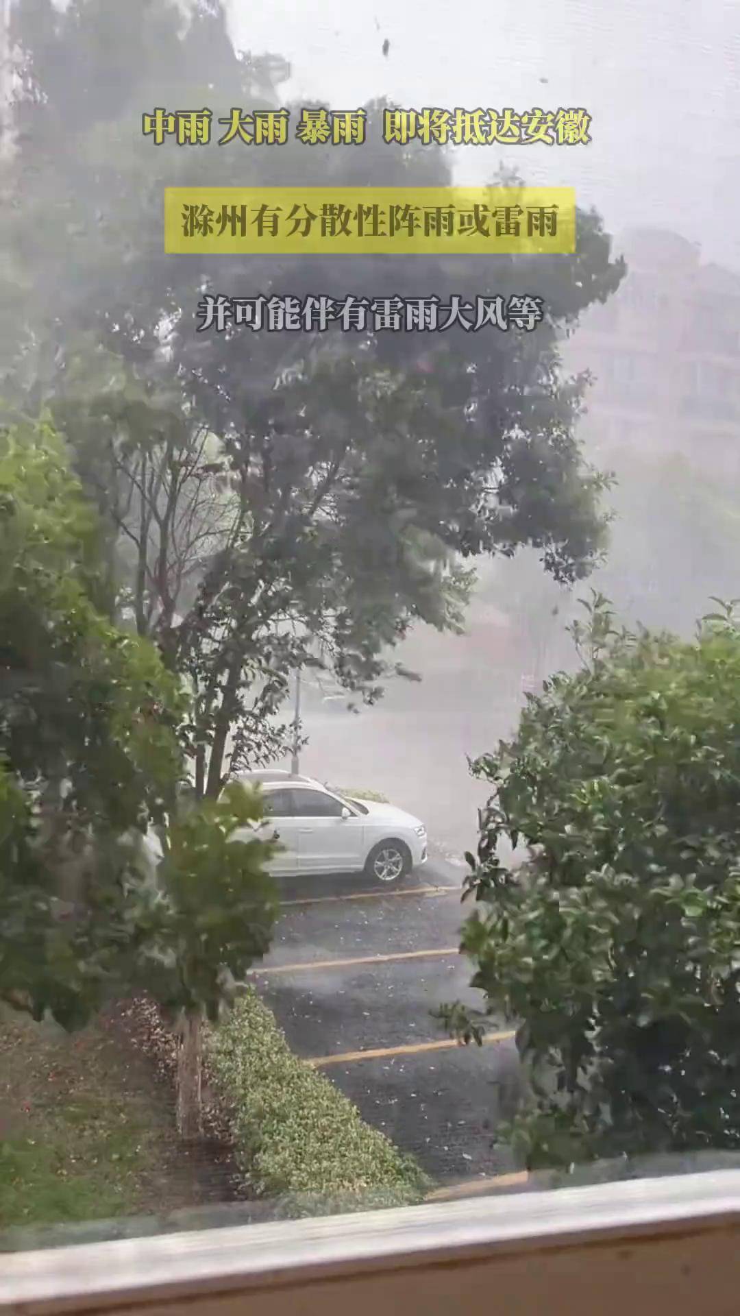 滁州天气天气大全
