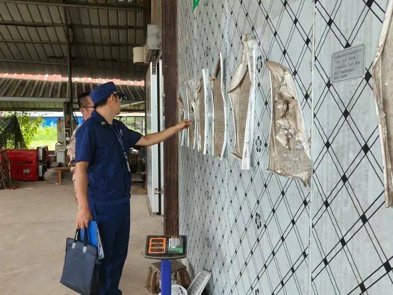 直击冷库检查现场：每一“度”都关乎安全！