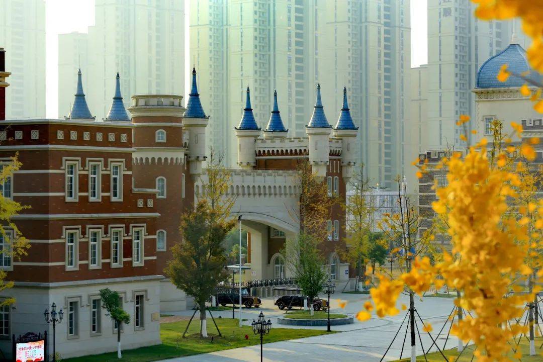 文章配图-7