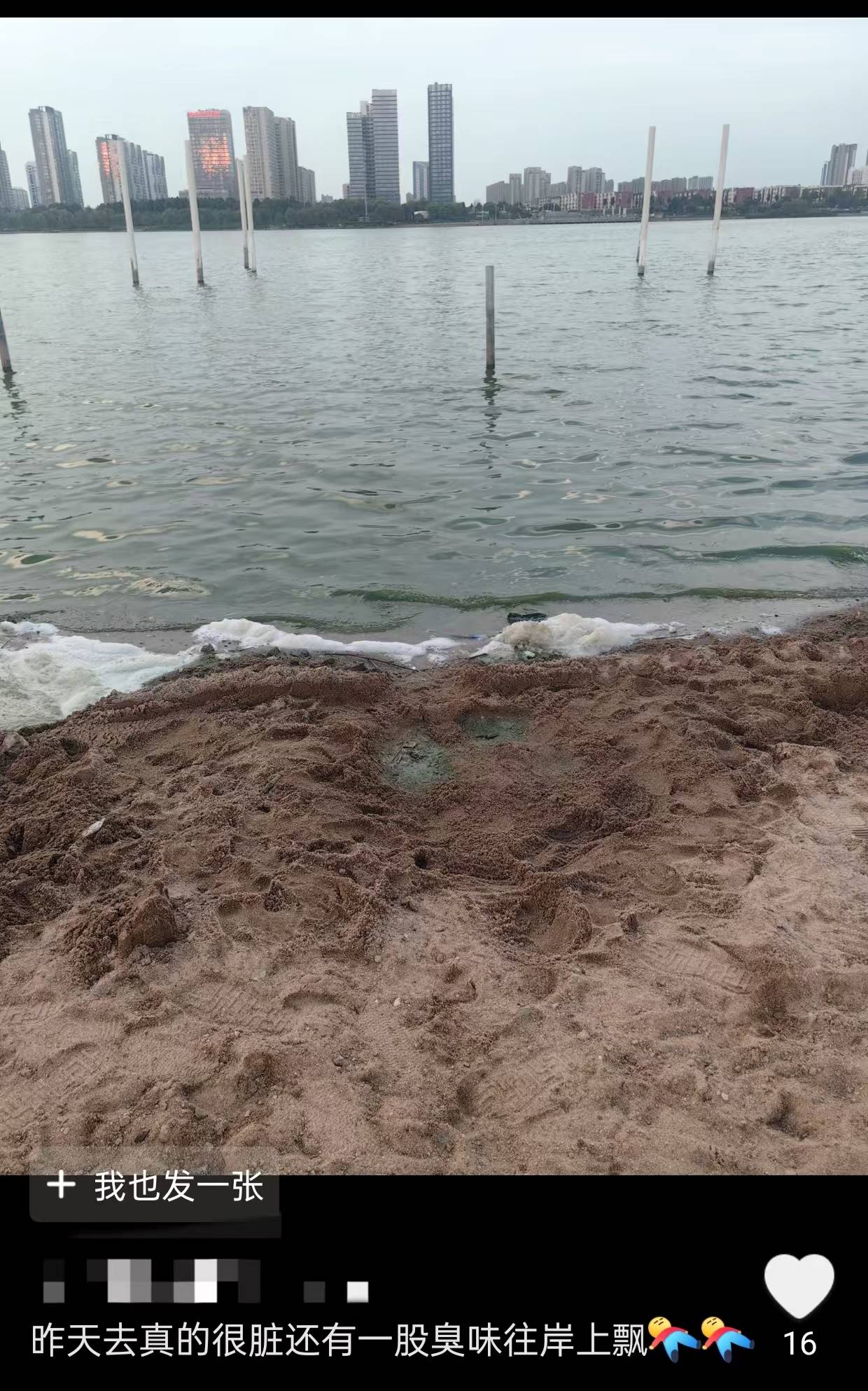 沂河水发绿发臭出现死鱼死鳖，山东临沂：与气温降雨有关，藻类致水体富营养化