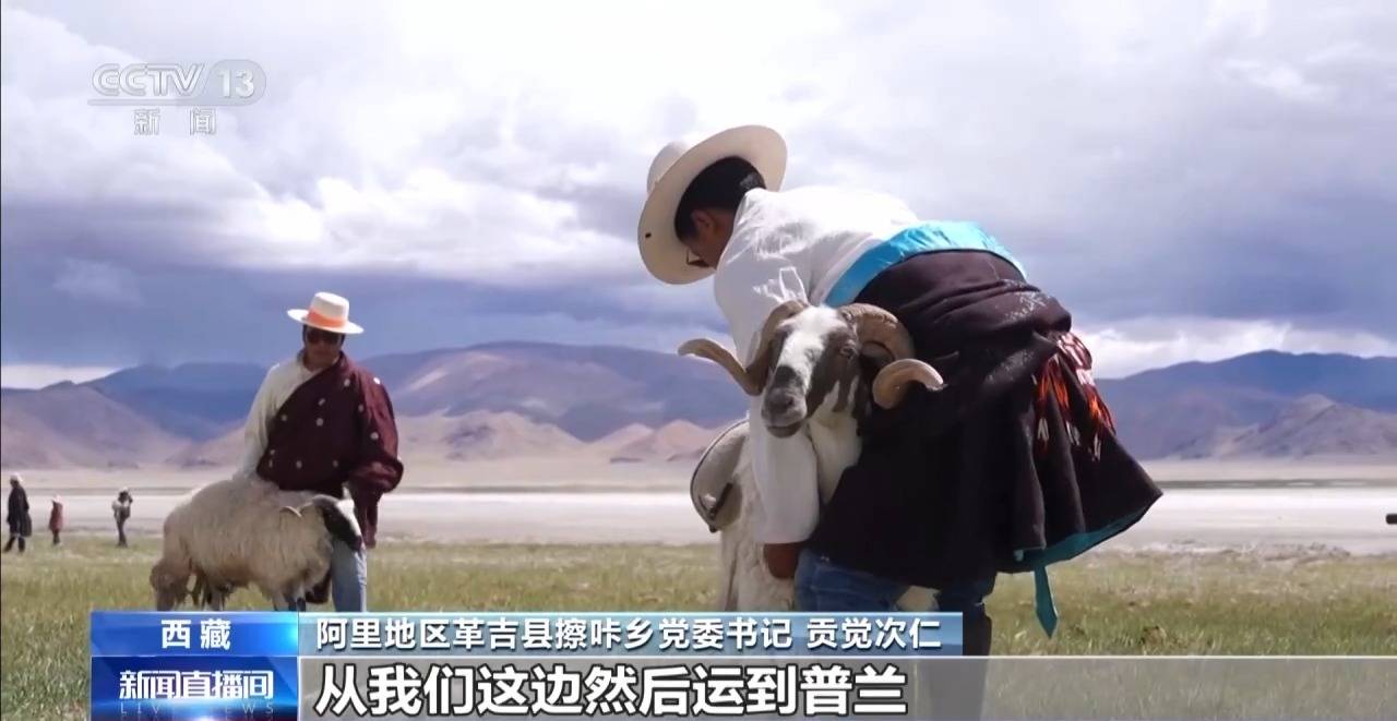 西藏自治区成立60周年！盐羊古道如何焕发