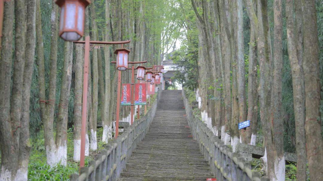 达州7家景区向世运会运动员、工作人员、志愿者等群体免门票