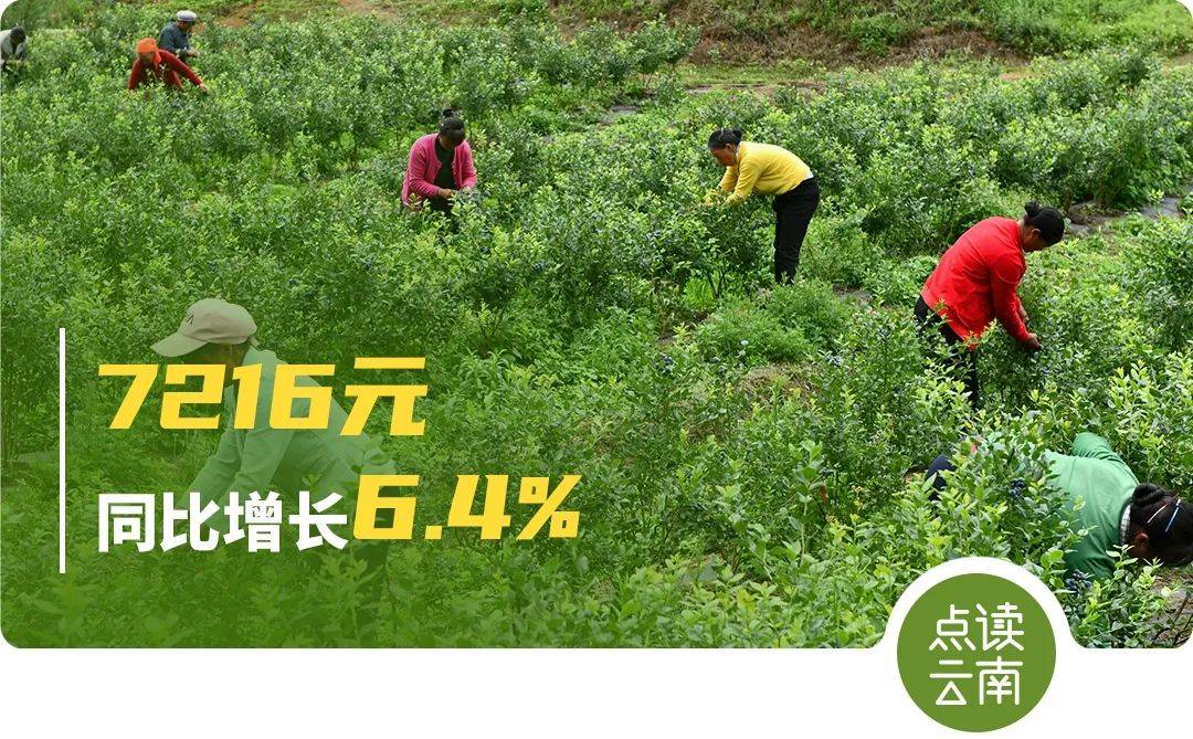 三年级上册陕旅版英语书点读_文旅融合云南_
