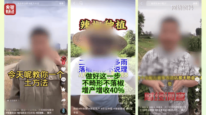 假农技专家“割韭菜” 虚假人设、违规带货，坑农骗局正上演！