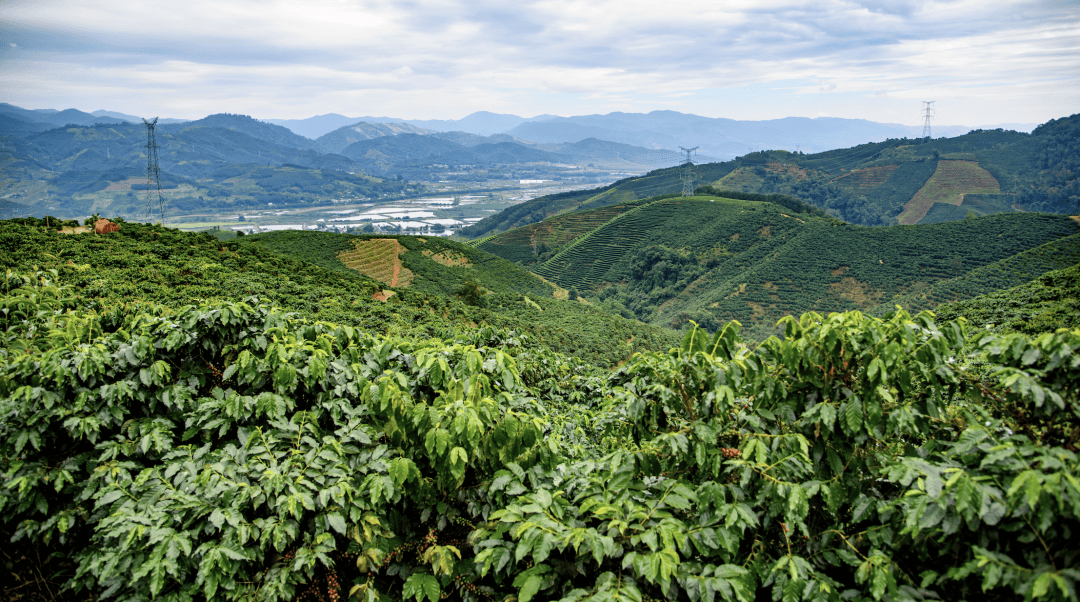 图片[4]-人挤人的暑假，这座云南小城避暑也避世 -华闻时空