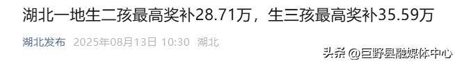 生二孩最高奖补28.71万，生三孩最高奖补35.59万！一地宣布