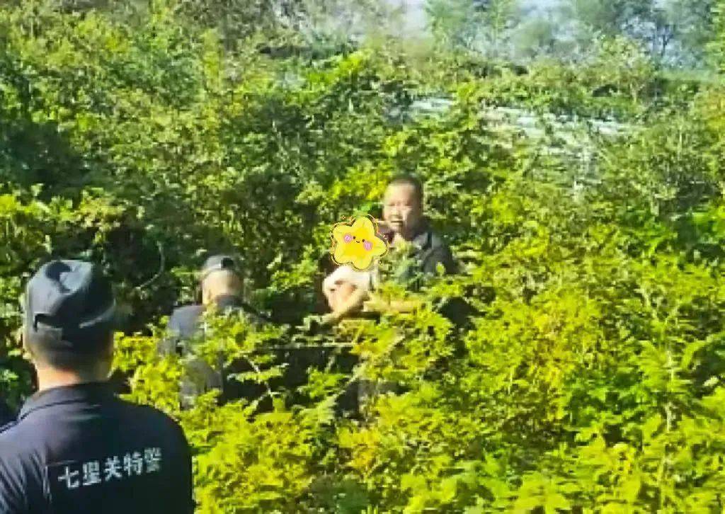 贵州2岁男童走失近72小时后，在高速公路旁隐蔽灌木丛中平安获救