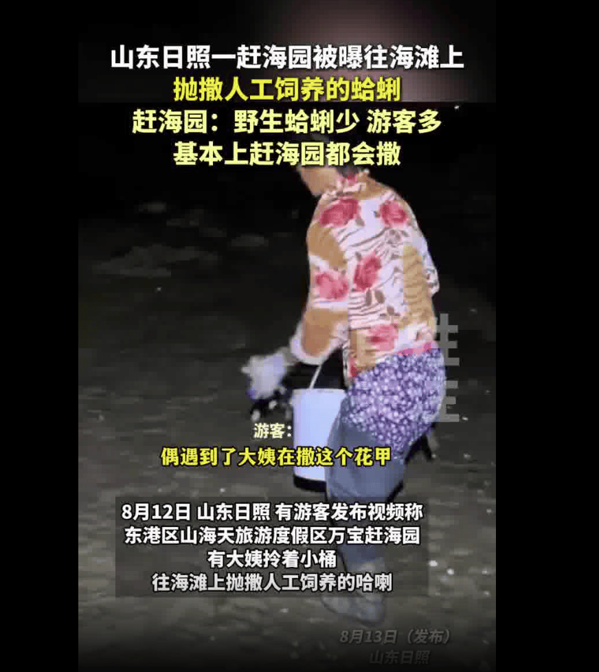 日照一赶海园被曝撒人工饲养蛤蜊 赶海园：野生哈喇少游客多，捡不到的话大家就不愿意赶海