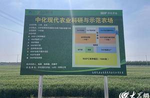 中化农业:数字引领 MAP全链赋能诸城现代农业转型升级_服务_石桥子镇_技术