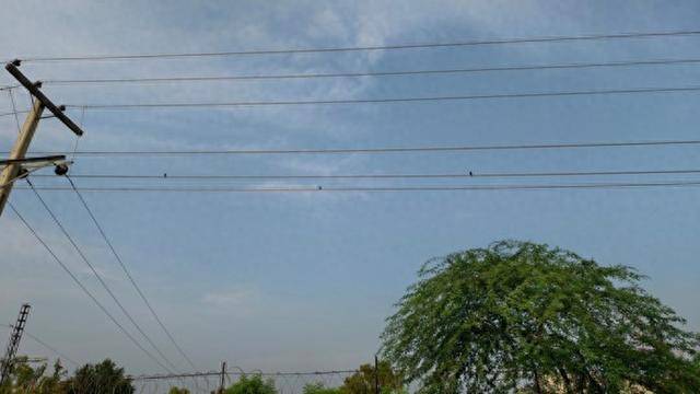 人民日报聚焦上海老旧小区悬空线缆问题：网格吹哨协调各方，怎么回应的？