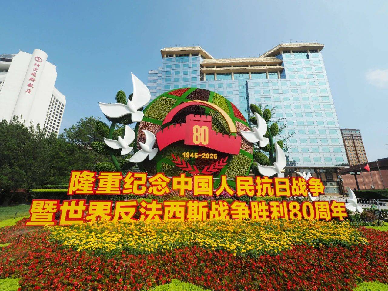 先睹为快!纪念抗战胜利80周年主题花坛搭建中