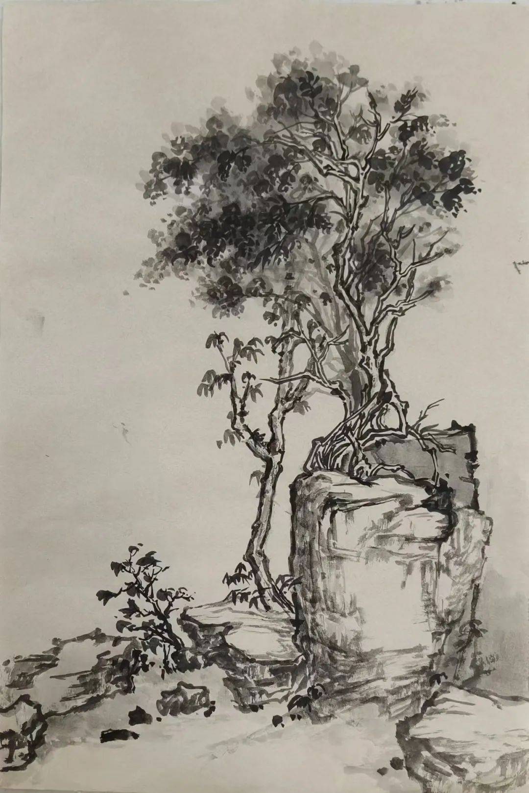 小学期 | 郑州大学美术学院2022级绘画专业