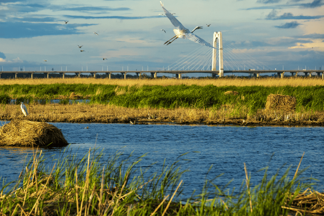 东北最被低估的凉爽小城，别再只说它“油”了 -华闻时空