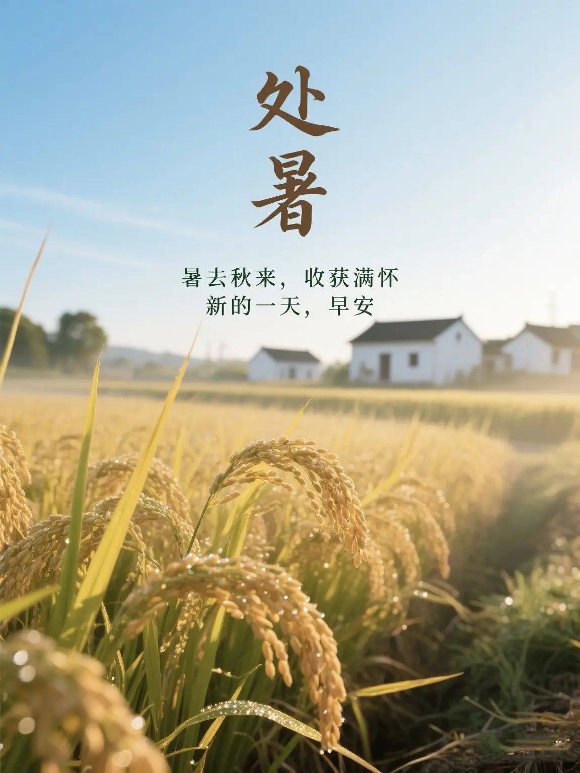 处暑节气祝福早安图片